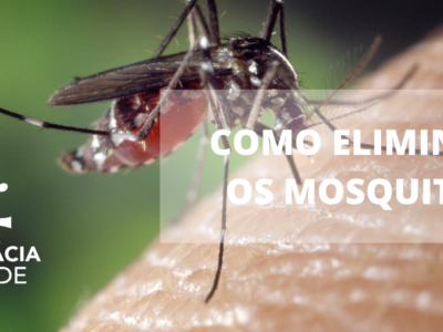 Como eliminar os mosquitos